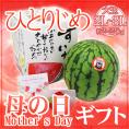 母の日ギフト ”小玉すいか ひとりじめ” カーネーション生花付き 化粧箱 2L~3L 1玉 約2~2.5kg【予約 5月2日~5月10日お届け予定】 送料無料