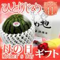 母の日ギフト ”小玉すいか ひとりじめ” カーネーション生花付き 化粧箱 4L 1玉 約3kg【予約 5月2日～5月10日お届け予定】 送料無料