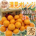 和歌山・田村産 ”清見オレンジ” 秀品 2L~4L 約10kg【予約 3月中下旬以降】 送料無料
