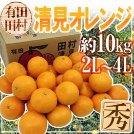 和歌山・田村産 ”清見オレンジ” 秀品 2L～4L 約10kg【予約 3月中下旬以降】 送料無料