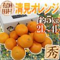 ”和歌山・田村産 清見オレンジ” 秀品 2L~4L 約5kg【予約 3月中下旬以降】 送料無料