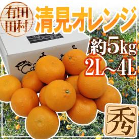 和歌山・田村産 ”清見オレンジ” 秀品 2L～4L 約5kg【予約 3月中下旬以降】 送料無料