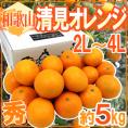 ”和歌山産 清見オレンジ” 秀品 2L~4L 約5kg【予約 3月以降】 送料無料