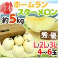 熊本県 ”ホームランスターメロン” 秀/優品 L/2L/3Lサイズ 4~6玉 約5kg【予約 4月末以降】 送料無料