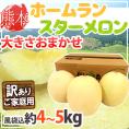 熊本県 ”ホームランスターメロン” 訳あり 約4～5kg（風袋込） 大きさおまかせ【予約 4月末以降】 送料無料