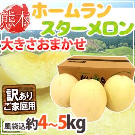 熊本県 ”ホームランスターメロン” 訳あり 約4～5kg（風袋込） 大きさおまかせ【予約 4月末以降】 送料無料