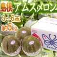 島根産 ”アムスメロン” 秀品 大玉 3～6玉 約5kg【予約 6月以降】 送料無料