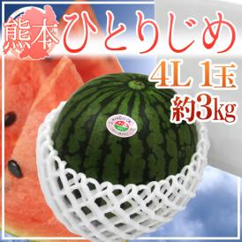 熊本産 ”小玉すいか ひとりじめ” 秀・優 4L1玉 約3kg【予約 4月以降】