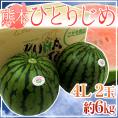 熊本産 ”小玉すいか ひとりじめ” 秀・優 4L2玉 約6kg【予約 4月以降】 送料無料