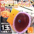 ”宮崎完熟マンゴー ” 秀品 5Lサイズ 1玉 約650g以上 化粧箱 宮崎マンゴー【予約 4月以降】 送料無料