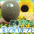 父の日ギフト &rdquo;肥後グリーンメロン&rdquo; 秀品 1玉 約1.5～2kg＋ひまわり生花1本【予約 6月14～21日お届け予定】 送料無料