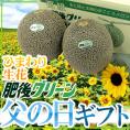 父の日ギフト &rdquo;肥後グリーンメロン&rdquo; 秀品 2玉 約3～4kg＋ひまわり生花1本【予約 6月14～21日お届け予定】 送料無料