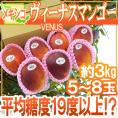 メキシコ産 ”ヴィーナスマンゴー” 大玉5～8玉 約3kg 航空便 ビーナスマンゴー【予約 5月下旬以降】 送料無料