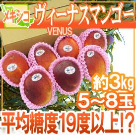 国産ブランドマンゴーを凌ぐ甘さ!?ヴィーナスマンゴー!