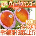 メキシコ産 ”ヴィーナスマンゴー” 大玉2～3玉 約1kg 航空便 ビーナスマンゴー【予約 4月以降】 送料無料