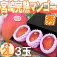 ”宮崎完熟マンゴー” 秀品 2Lサイズ 3玉入り 1kg以上 化粧箱 宮崎マンゴー【予約 4月下旬以降】 送料無料