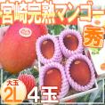 ”宮崎完熟マンゴー” 秀品 2Lサイズ 4玉入り 化粧箱 宮崎マンゴー【予約 4月下旬以降】 送料無料