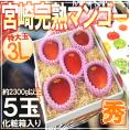 ”宮崎完熟マンゴー” 秀品 3Lサイズ 5玉入り 化粧箱 宮崎マンゴー【予約 4月以降】 送料無料