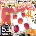 ”宮崎完熟マンゴー” 秀品 4Lサイズ 5玉入り 化粧箱 宮崎マンゴー【予約 4月以降】 送料無料