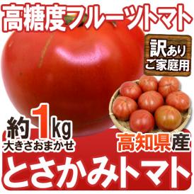 高知県夜須産 高糖度 夜須のフルーツトマト ”とさかみトマト” 約1kg 訳あり・ご家庭用【予約 入荷次第発送】