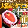 【お届け日指定可能】宮崎マンゴー ”太陽のタマゴ” 4Lサイズ 1玉 化粧箱 送料無料