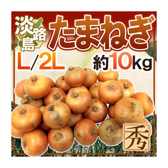 &rdquo;兵庫県 淡路島産 たまねぎ&rdquo; 秀品 L/2L 約10kg【予約 入荷次第発送】 送料無料01