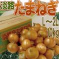 ”兵庫県 淡路島産 たまねぎ” 秀品 L/2L 約10kg【予約 入荷次第発送】 送料無料