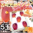 ”宮崎完熟マンゴー” 秀品 4Lサイズ 5玉 3kg以上 化粧箱 宮崎マンゴー【予約 4月以降】 送料無料