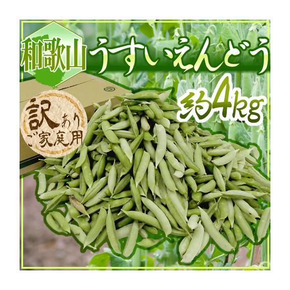 値段が激安 紀州・和歌山 ”うすいえんどう” 約4kg 訳あり ご家庭用【予約 3 野菜