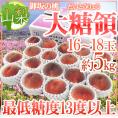 山梨県 最高峰桃 ”大糖領” 大玉16～18玉入り 約5kg【予約 7月末以降】 送料無料