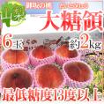 最高峰桃 ”山梨県 大糖領” 大玉6玉入り 約2kg【予約 7月末以降】 送料無料