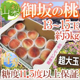 山梨県産 ”御坂の桃” 青秀品 13～15玉 約5kg【予約 7月下旬以降】 送料無料