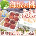”山梨県産 御坂の桃” 青秀品 8～9玉 約2.5kg 化粧箱【予約 7月下旬以降】 送料無料
