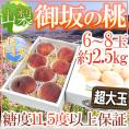 ”山梨県産 御坂の桃” 青秀品 6～8玉 約2.5kg 化粧箱 【予約 7月下旬以降】 送料無料