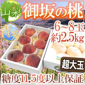 ”山梨県産 御坂の桃” 青秀品 6～8玉 約2.5kg 化粧箱 【予約 7月下旬以降】 送料無料