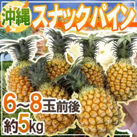 お子様にも大人気！手でちぎって食べれるパイナップル♪