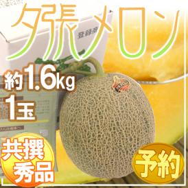 北海道 ”夕張メロン” 共撰・秀品 1玉 約1.6kg【予約 7月中下旬以降】 送料無料