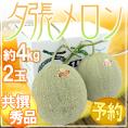 北海道 ”夕張メロン” 共撰・秀品 2玉 約4kg【予約 7月中下旬以降】 送料無料