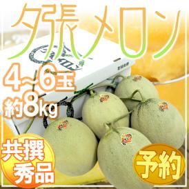 北海道 ”夕張メロン” 共撰・秀品 4～6玉 約8kg【予約 7月中下旬以降】 送料無料