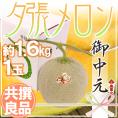 お中元 北海道 ”夕張メロン” 共撰・良品以上 1玉 約1.6kg 化粧箱【予約 7月中のお届け】 送料無料