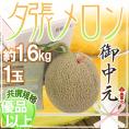 お中元 北海道 ”夕張メロン” 共撰・優品以上 1玉 約1.6kg 化粧箱【予約 7月中のお届け】  送料無料