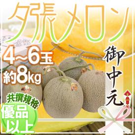 お中元 北海道 ”夕張メロン” 共撰・優品以上 4～6玉 約8kg【予約 7月中のお届け】 送料無料
