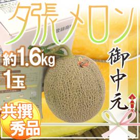 お中元 北海道 ”夕張メロン” 共撰・秀品限定 1玉 約1.6kg 化粧箱【予約 7月中のお届け】 送料無料