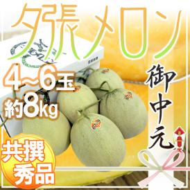 お中元 北海道 ”夕張メロン” 共撰・秀品限定 4～6玉 約8kg【予約 7月中のお届け】 送料無料