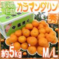 愛媛産 ”中島便り カラマンダリン” 秀品 M/L 約5kg【予約 4月下旬以降】 送料無料