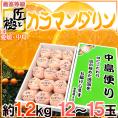 愛媛産 ”匠と極 カラマンダリン” 12～15玉 約1.2kg 化粧箱【予約 4月下旬以降】 送料無料
