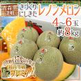 青森県 きづくり・にしきた ”レノンメロン プレミアム” 4～6玉 約8kg 糖度17度以上【予約 7月下旬以降】 送料無料