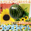 父の日ギフト &rdquo;ルナピエナすいか&rdquo; 秀品 1玉 約6kg以上＋ひまわり生花2本【予約 6月14～21日お届け予定】 送料無料