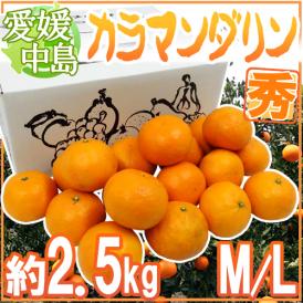 ”愛媛産 中島便り カラマンダリン” 秀品 M/L 約2.5kg【予約 4月下旬以降】 送料無料