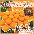 ”愛媛産 カラマンダリン” 訳あり 約2.5kg 大きさおまかせ【予約 4月下旬以降】 送料無料